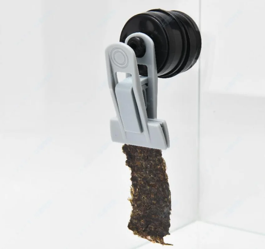 مشبك تغذية Veggie-Mag لخزان ال - مراجعة Seaweed Snack وسعره